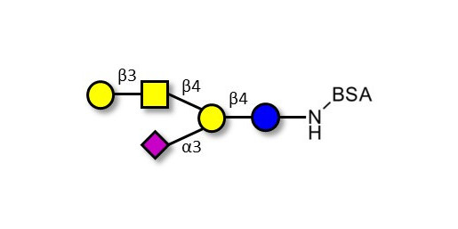 GM1a Ganglioside oligosaccharide grafted on BSA