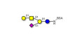 GM1a Ganglioside oligosaccharide grafted on BSA