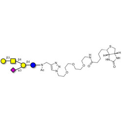 GM1a Ganglioside oligosaccharide linked to biotin (Linker-BT A)