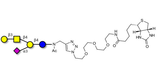 GM1a Ganglioside oligosaccharide linked to biotin (Linker-BT A) - GLY096-NAc-sp3-Bt