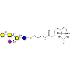 GM1a Ganglioside oligosaccharide linked to biotin (Linker-BT B)
