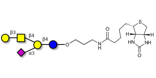 GM1a Ganglioside oligosaccharide linked to biotin (Linker-BT B)