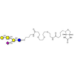 GM1a Ganglioside oligosaccharide linked to biotin (Linker-BT C)