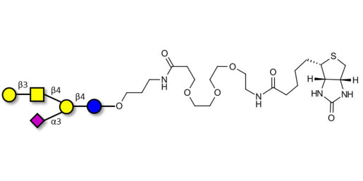 GM1a Ganglioside oligosaccharide linked to biotin (Linker-BT C)