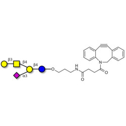 GM1a Ganglioside oligosaccharide with DBCO (Linker-DBCO A)