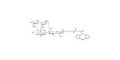 GM1a Ganglioside oligosaccharide with DBCO (Linker-DBCO A)