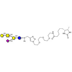 GM1a Ganglioside oligosaccharide linked to desthiobiotin (Linker-DBT-A)
