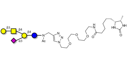 GM1a Ganglioside oligosaccharide linked to desthiobiotin (Linker-DBT-A)