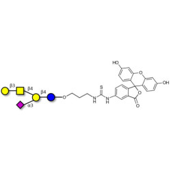 GM1a Ganglioside oligosaccharide linked to fluorescein (Linker-FLUO A)
