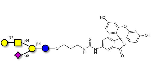 GM1a Ganglioside oligosaccharide linked to fluorescein (Linker-FLUO A)