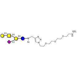 GM1a Ganglioside oligosaccharide grafted on gel for affinity chromatography (Linker-GEL A)