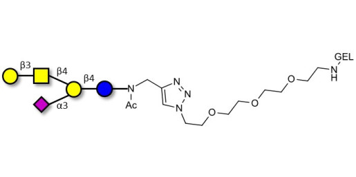 GM1a Ganglioside oligosaccharide grafted on gel for affinity chromatography (Linker-GEL A)