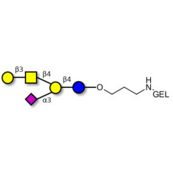 GM1a Ganglioside oligosaccharide grafted on gel for affinity chromatography (Linker-GEL B)