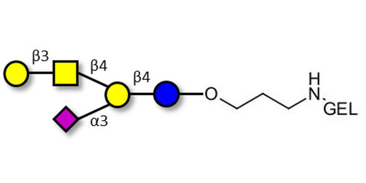 GM1a Ganglioside oligosaccharide grafted on gel for affinity chromatography (Linker-GEL B)