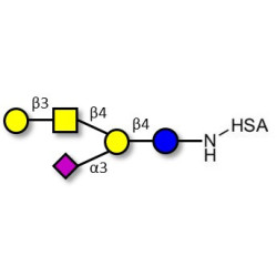 GM1a Ganglioside oligosaccharide grafted on HSA