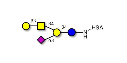 GM1a Ganglioside oligosaccharide grafted on HSA