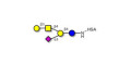 GM1a Ganglioside oligosaccharide grafted on HSA