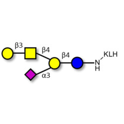 GM1a Ganglioside oligosaccharide grafted on KLH