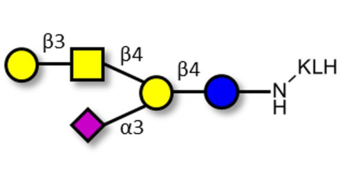 GM1a Ganglioside oligosaccharide grafted on KLH