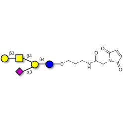 GM1a Ganglioside oligosaccharide linked to maleimide (Linker-MAL A)