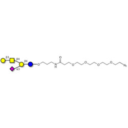 GM1a Ganglioside oligosaccharide with terminal azide (Linker-N3 A)