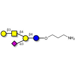 GM1a Ganglioside oligosaccharide with free terminal amine (Linker-NH2 A)