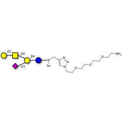 GM1a Ganglioside oligosaccharide with free terminal amine (Linker-NH2 B)