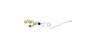 GM1a Ganglioside...