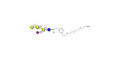 GM1a Ganglioside oligosaccharide with free terminal amine (Linker-NH2 B)