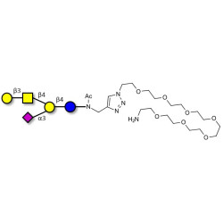 GM1a Ganglioside oligosaccharide with free terminal amine (Linker-NH2 C)