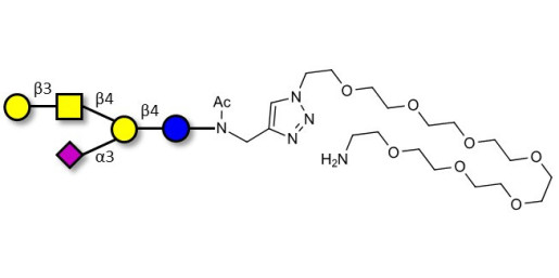 GM1a Ganglioside oligosaccharide with free terminal amine (Linker-NH2 C)