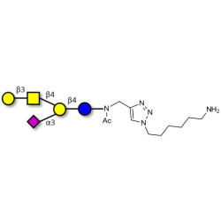 GM1a Ganglioside oligosaccharide with free terminal amine (Linker-NH2 D)