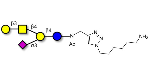 GM1a Ganglioside oligosaccharide with free terminal amine (Linker-NH2 D)