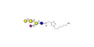 GM1a Ganglioside...