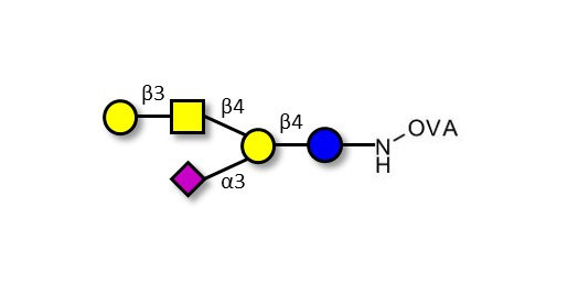 GM1a Ganglioside oligosaccharide grafted on OVA