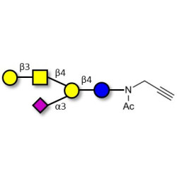 GM1a Ganglioside oligosaccharide with terminal alkyne (Linker-CΞCH A)