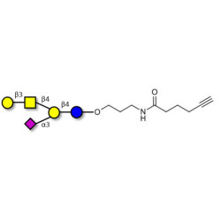 GM1a Ganglioside oligosaccharide with terminal alkyne (Linker-CΞCH C)