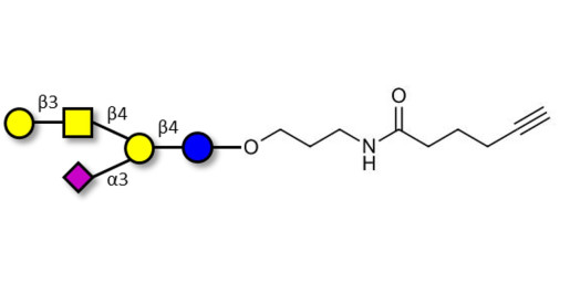 GM1a Ganglioside oligosaccharide with terminal alkyne (Linker-CΞCH C)