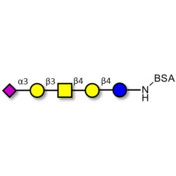 GM1b Ganglioside oligosaccharide grafted on BSA