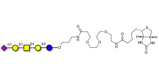 GM1b Ganglioside oligosaccharide linked to biotin (Linker-BT C)