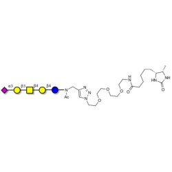 GM1b Ganglioside oligosaccharide linked to desthiobiotin (Linker-DBT-A)
