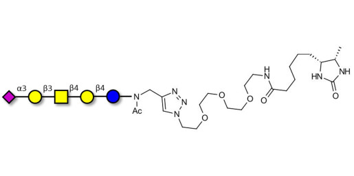 GM1b Ganglioside oligosaccharide linked to desthiobiotin (Linker-DBT-A)
