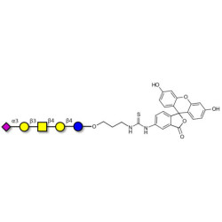 GM1b Ganglioside oligosaccharide linked to fluorescein (Linker-FLUO A)