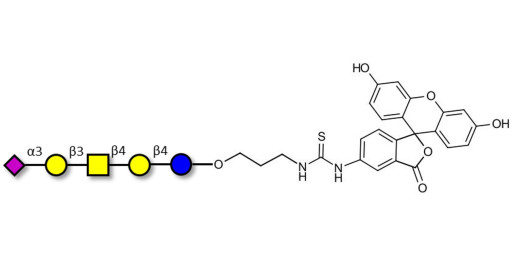 GM1b Ganglioside oligosaccharide linked to fluorescein (Linker-FLUO A)