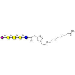 GM1b Ganglioside oligosaccharide grafted on gel for affinity chromatography (Linker-GEL A)