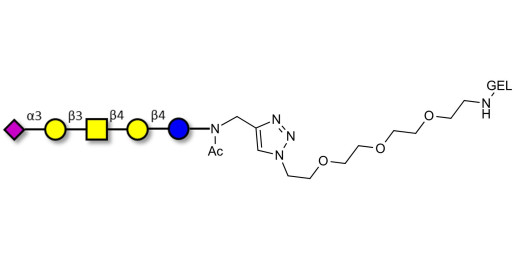 GM1b Ganglioside oligosaccharide grafted on gel for affinity chromatography (Linker-GEL A)