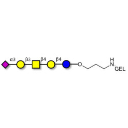 GM1b Ganglioside oligosaccharide grafted on gel for affinity chromatography (Linker-GEL B)