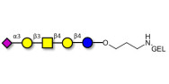 GM1b Ganglioside...