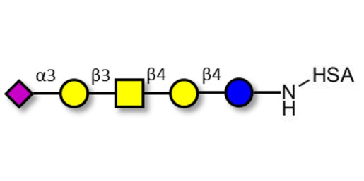 GM1b Ganglioside oligosaccharide grafted on HSA