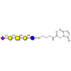 GM1b Ganglioside oligosaccharide linked to maleimide (Linker-MAL A)